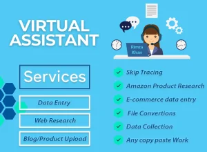Professional virtual assistant